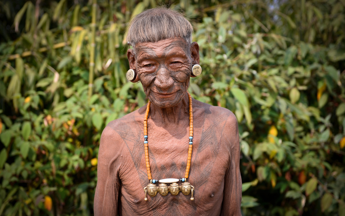 Wildlife and Tribes of Northeast India
